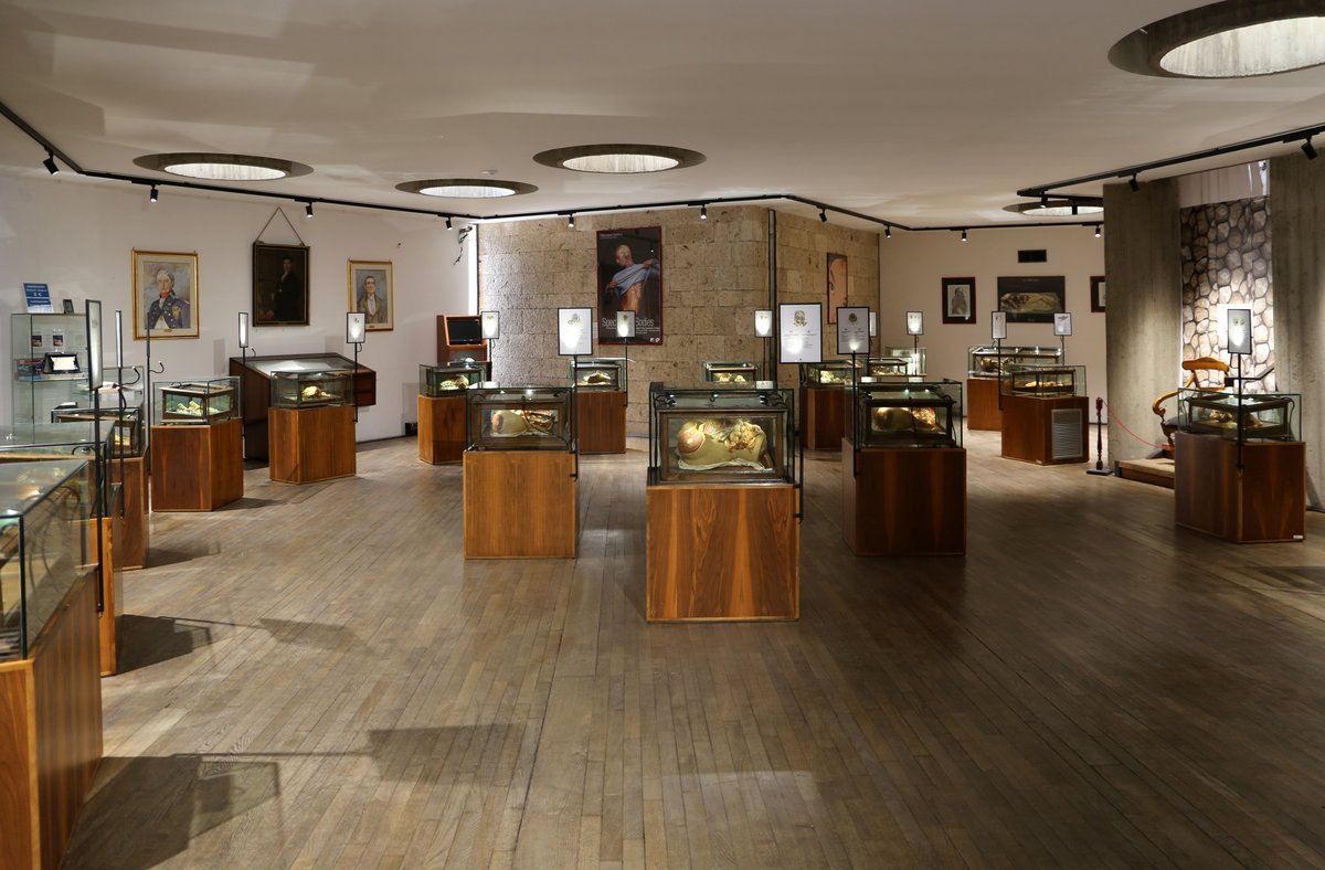 Museo "Raccolta delle cere anatomiche di Clemente Susini" dell'Università di Cagliari